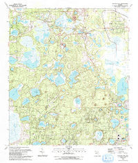 Putnam Hall Florida Historical topographic map, 1:24000 scale, 7.5 X 7.5 Minute, Year 1993