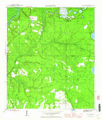 Red Head Florida Historical topographic map, 1:24000 scale, 7.5 X 7.5 Minute, Year 1945