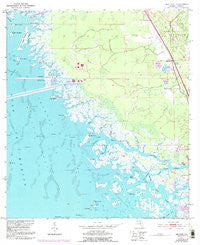 Red Level Florida Historical topographic map, 1:24000 scale, 7.5 X 7.5 Minute, Year 1954