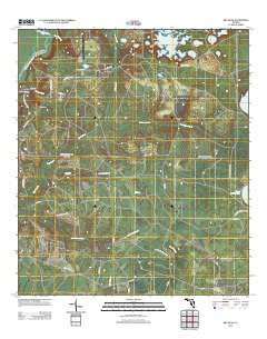 Red Head Florida Historical topographic map, 1:24000 scale, 7.5 X 7.5 Minute, Year 2012