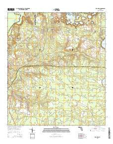 Red Head Florida Current topographic map, 1:24000 scale, 7.5 X 7.5 Minute, Year 2015