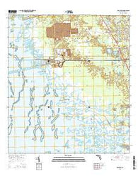 Red Level Florida Current topographic map, 1:24000 scale, 7.5 X 7.5 Minute, Year 2015