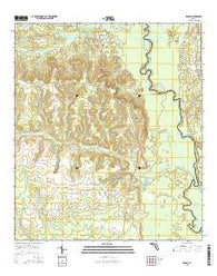 Redbay Florida Current topographic map, 1:24000 scale, 7.5 X 7.5 Minute, Year 2015