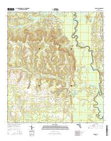 Redbay Florida Current topographic map, 1:24000 scale, 7.5 X 7.5 Minute, Year 2015