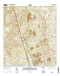 Reddick Florida Current topographic map, 1:24000 scale, 7.5 X 7.5 Minute, Year 2015
