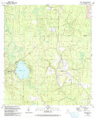 Rice Creek Florida Historical topographic map, 1:24000 scale, 7.5 X 7.5 Minute, Year 1993