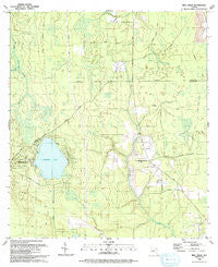 Rice Creek Florida Historical topographic map, 1:24000 scale, 7.5 X 7.5 Minute, Year 1993