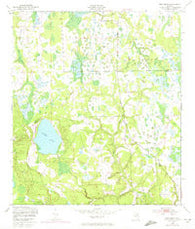 Rice Creek Florida Historical topographic map, 1:24000 scale, 7.5 X 7.5 Minute, Year 1949