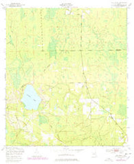 Rice Creek Florida Historical topographic map, 1:24000 scale, 7.5 X 7.5 Minute, Year 1949