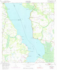 Riverdale Florida Historical topographic map, 1:24000 scale, 7.5 X 7.5 Minute, Year 1949