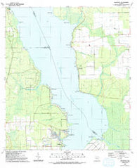Riverdale Florida Historical topographic map, 1:24000 scale, 7.5 X 7.5 Minute, Year 1991
