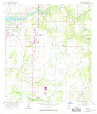 Riverview Florida Historical topographic map, 1:24000 scale, 7.5 X 7.5 Minute, Year 1956