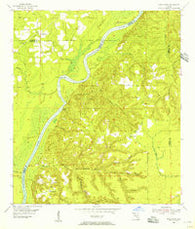 Rock Bluff Florida Historical topographic map, 1:24000 scale, 7.5 X 7.5 Minute, Year 1955