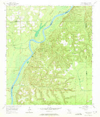 Rock Bluff Florida Historical topographic map, 1:24000 scale, 7.5 X 7.5 Minute, Year 1955