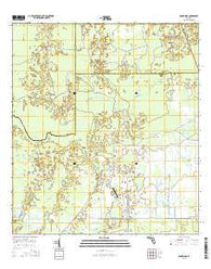 Rock Ridge Florida Current topographic map, 1:24000 scale, 7.5 X 7.5 Minute, Year 2015