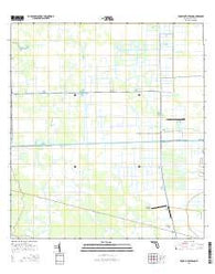 Rocky Lake Strand Florida Current topographic map, 1:24000 scale, 7.5 X 7.5 Minute, Year 2015