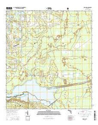 Rodman Florida Current topographic map, 1:24000 scale, 7.5 X 7.5 Minute, Year 2015