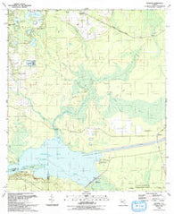 Rodman Florida Historical topographic map, 1:24000 scale, 7.5 X 7.5 Minute, Year 1993