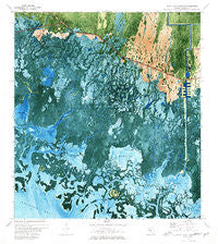 Royal Palm Hammock Florida Historical topographic map, 1:24000 scale, 7.5 X 7.5 Minute, Year 1973