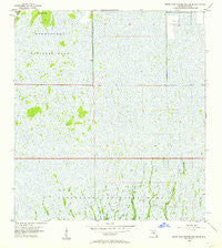 Royal Palm Ranger Station SE Florida Historical topographic map, 1:24000 scale, 7.5 X 7.5 Minute, Year 1956