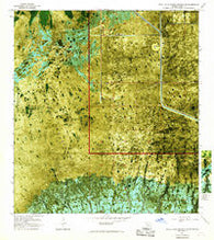 Royal Palm Ranger Station SE Florida Historical topographic map, 1:24000 scale, 7.5 X 7.5 Minute, Year 1967