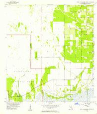 Royal Palm Ranger Station Florida Historical topographic map, 1:24000 scale, 7.5 X 7.5 Minute, Year 1956