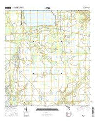 Rye Florida Current topographic map, 1:24000 scale, 7.5 X 7.5 Minute, Year 2015