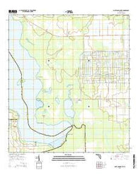 Saint Johns Park Florida Current topographic map, 1:24000 scale, 7.5 X 7.5 Minute, Year 2015