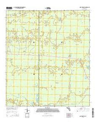 Saint Marks NE Florida Current topographic map, 1:24000 scale, 7.5 X 7.5 Minute, Year 2015