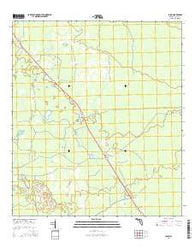 Salem Florida Current topographic map, 1:24000 scale, 7.5 X 7.5 Minute, Year 2015