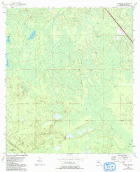 Salem Sw Florida Historical topographic map, 1:24000 scale, 7.5 X 7.5 Minute, Year 1954