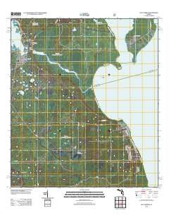 Salt Springs Florida Historical topographic map, 1:24000 scale, 7.5 X 7.5 Minute, Year 2012