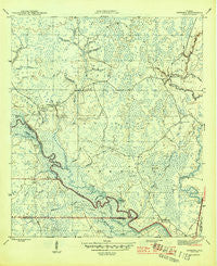 Sanborn Florida Historical topographic map, 1:31680 scale, 7.5 X 7.5 Minute, Year 1945