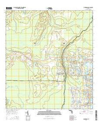 Sanford SW Florida Current topographic map, 1:24000 scale, 7.5 X 7.5 Minute, Year 2015