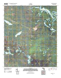 Sargent Florida Historical topographic map, 1:24000 scale, 7.5 X 7.5 Minute, Year 2011