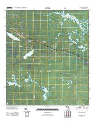 Sargent Florida Historical topographic map, 1:24000 scale, 7.5 X 7.5 Minute, Year 2012