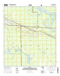 Sargent Florida Current topographic map, 1:24000 scale, 7.5 X 7.5 Minute, Year 2015
