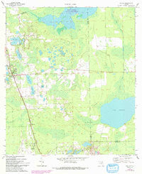 Seville Florida Historical topographic map, 1:24000 scale, 7.5 X 7.5 Minute, Year 1970