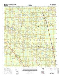 Shady Grove Florida Current topographic map, 1:24000 scale, 7.5 X 7.5 Minute, Year 2015