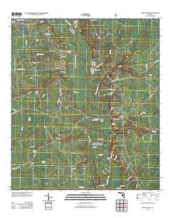 Smith Creek Florida Historical topographic map, 1:24000 scale, 7.5 X 7.5 Minute, Year 2012