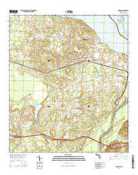Sneads Florida Current topographic map, 1:24000 scale, 7.5 X 7.5 Minute, Year 2015