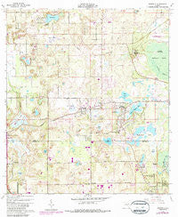 Sorrento Florida Historical topographic map, 1:24000 scale, 7.5 X 7.5 Minute, Year 1960