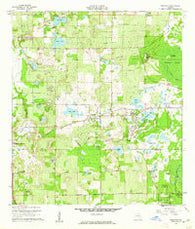 Sorrento Florida Historical topographic map, 1:24000 scale, 7.5 X 7.5 Minute, Year 1960