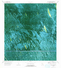 South of Deem City Florida Historical topographic map, 1:24000 scale, 7.5 X 7.5 Minute, Year 1973
