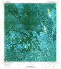 South of Deem City Florida Historical topographic map, 1:24000 scale, 7.5 X 7.5 Minute, Year 1973
