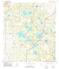 Spring Lake Florida Historical topographic map, 1:24000 scale, 7.5 X 7.5 Minute, Year 1954
