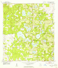 Spring Lake Florida Historical topographic map, 1:24000 scale, 7.5 X 7.5 Minute, Year 1954