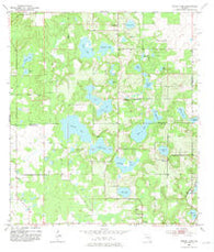 Spring Lake Florida Historical topographic map, 1:24000 scale, 7.5 X 7.5 Minute, Year 1954