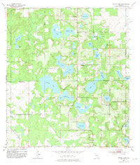 Spring Lake Florida Historical topographic map, 1:24000 scale, 7.5 X 7.5 Minute, Year 1954