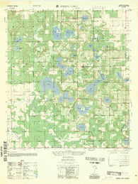 Spring Lake Florida Historical topographic map, 1:25000 scale, 7.5 X 7.5 Minute, Year 1954